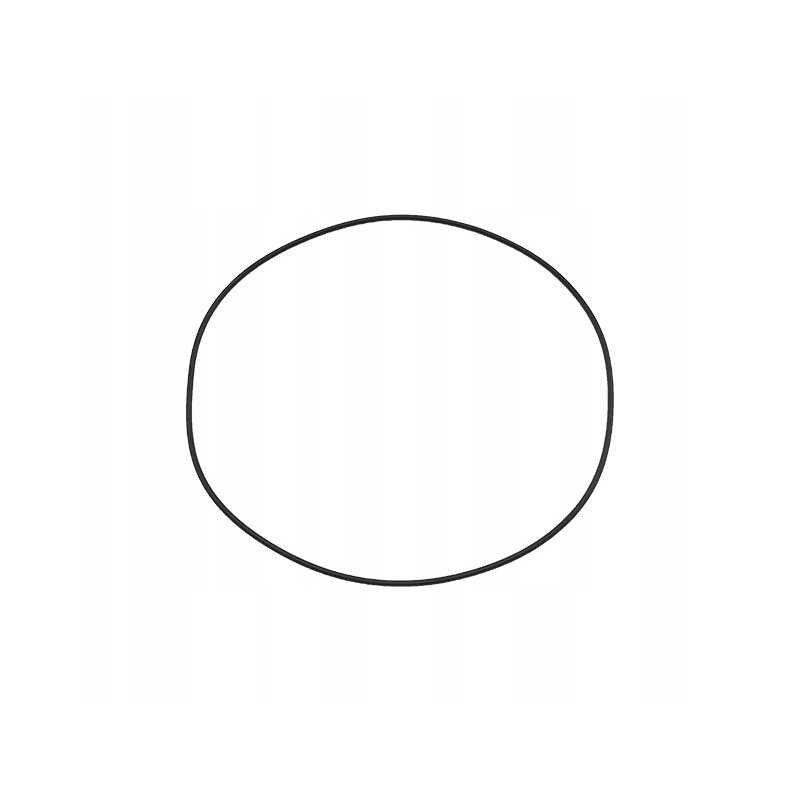 Dynashift korpusas O žiedas Massey Ferguson 378287x1