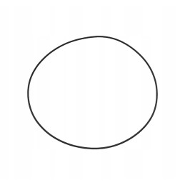 Massey Ferguson dynashift korpusas o žiedas 70925498