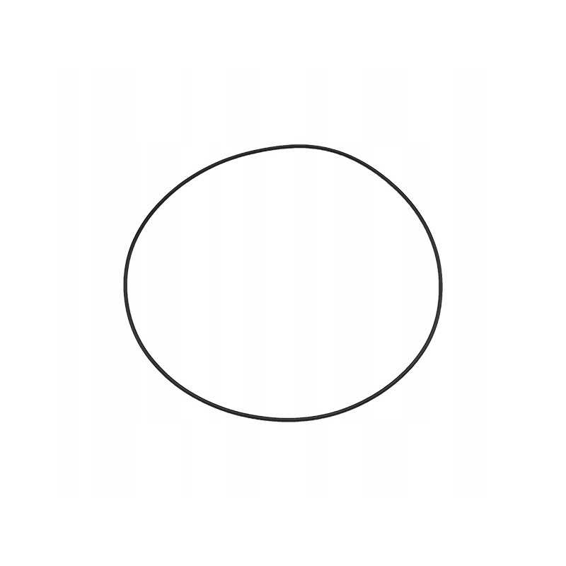 Massey Ferguson Dynashift korpuso O žiedas 5455 8210