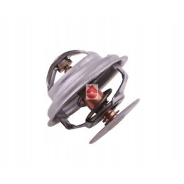 Termostatas c 385 6 cilindrų ursus 89005904u