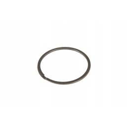 F824200100100 išmetimo kolektoriaus sandariklis