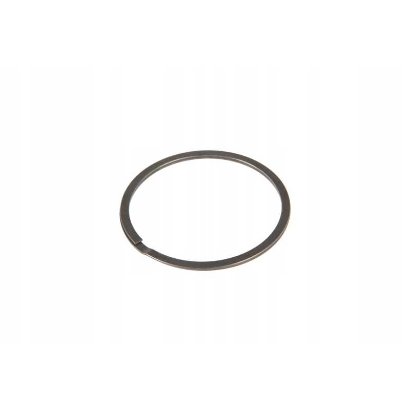 F824200100100 išmetimo kolektoriaus sandariklis