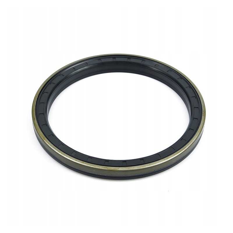 Troškinantis sandariklis 70x95x13 14 5 12018338b