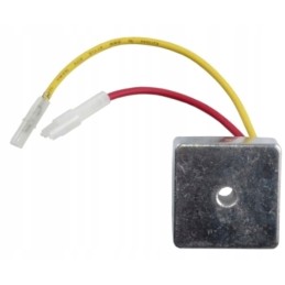 Įtampos reguliatoriaus lygintuvas Briggs Straton 14 4