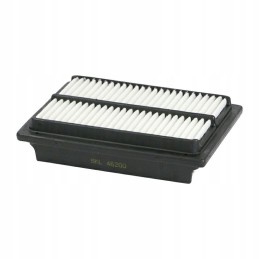 Salono filtras Skl46200