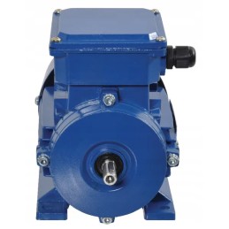 Elektros variklis 0 37 kW