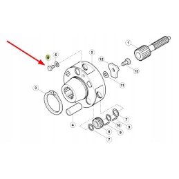 6005019445 stebulės redukcijos varžtas