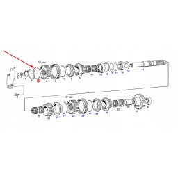 F178100080210 pavarų dėžės spyruoklinis žiedas