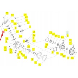 100160032 kampinis tepimo antgalis