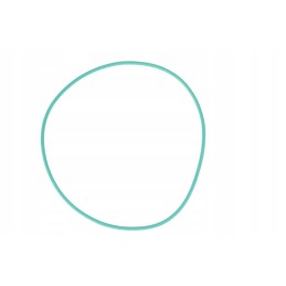 Fendt turbomato sandarinimo žiedas 115x2 5 originalus