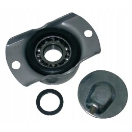 Nakvynės kovos germinatorius