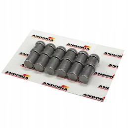 Andoria stabdymo svirties tvirtinimo kaištis