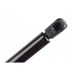 Durų teleskopinė dujų pavara 250mm mf 3301487m91