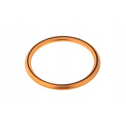 7700033730 galinės ašies korpuso sandariklis