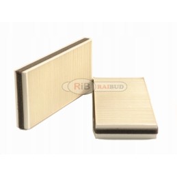 Salono filtro korpusas cnh 82011824 82034660 raibud