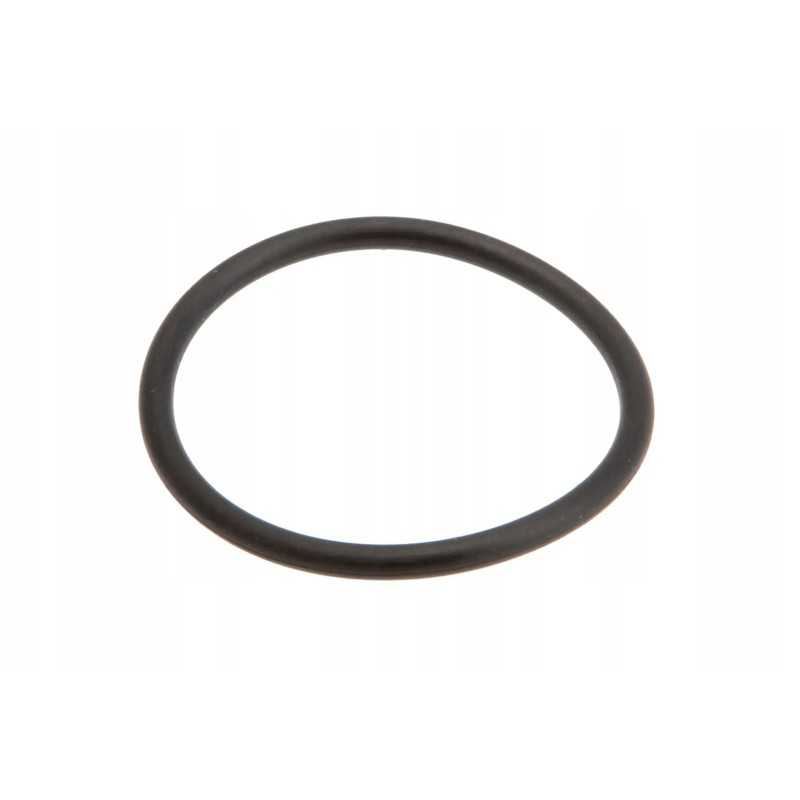 3019463x1 O žiedo tvirtinimas