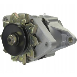 kintamosios srovės generatorius 14v 33 a fiat ford lamborghini same 37