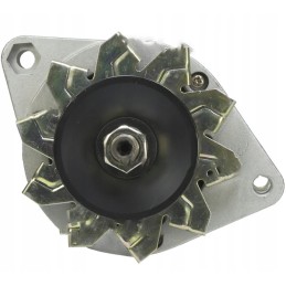 kintamosios srovės generatorius 14v 33 a fiat ford lamborghini same 37