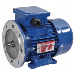 Elektros variklis 0 55 kW