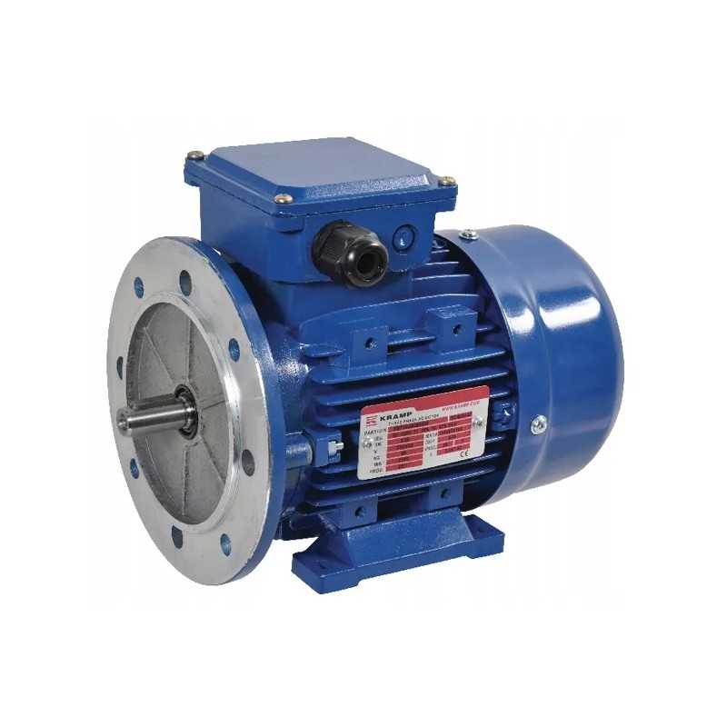 Elektros variklis 0 55 kW