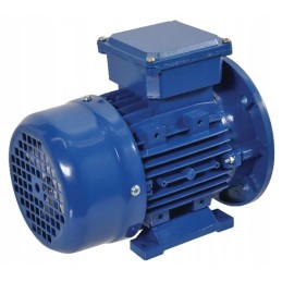 Elektros variklis 0 55 kW