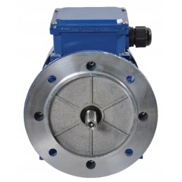 Elektros variklis 0 55 kW