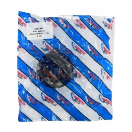 Kintamosios srovės generatoriaus skriemulys ca24 401, skirtas c 330 ex230210