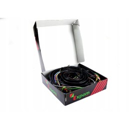 Elektros instaliacija 6 cilindrų C 385 Expom K