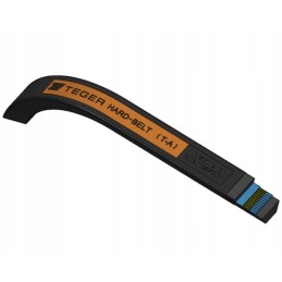 V formos dirzas ta 1700 ir 1700 teger