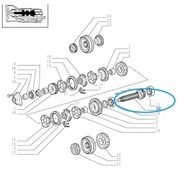 Pavarų dėžės velenas New Holland Fiat Case 5001130