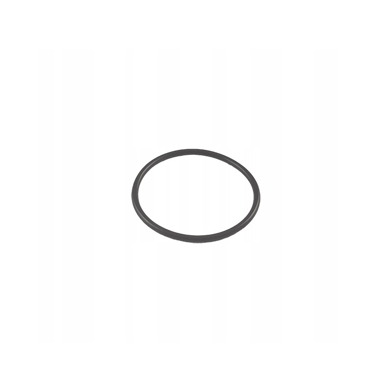 Diferencialo O žiedas mf 3019927x1