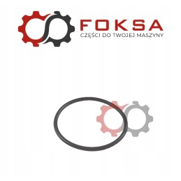 Diferencialo O žiedas mf 3019927x1