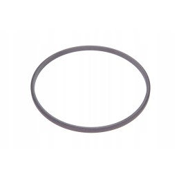 3901953m1 GTV sankabos sandarinimo žiedas