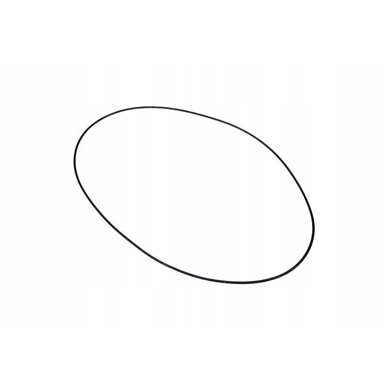 X549024000000 galinės ašies sandarinimo žiedas