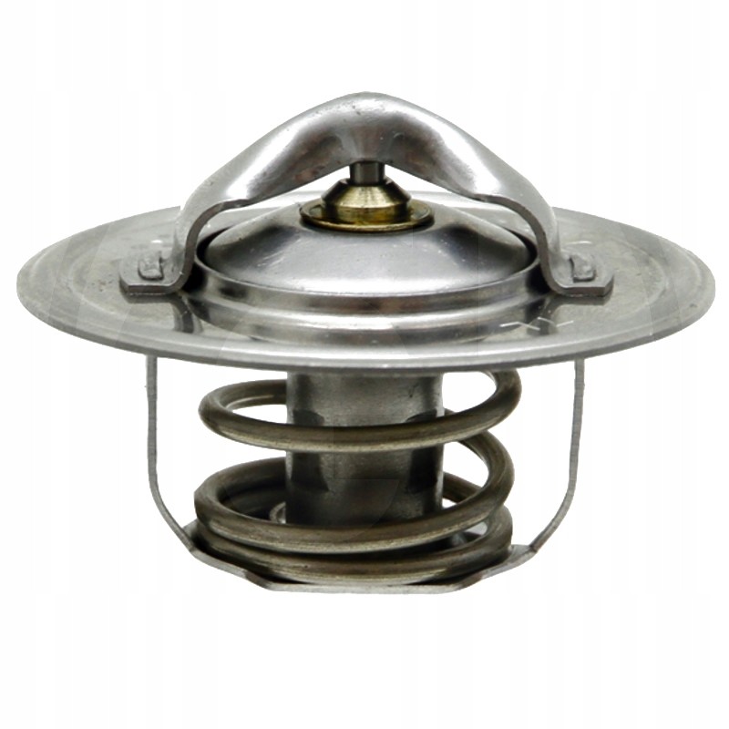 Termostatas 78 c ford 54mm 74717034 granitas