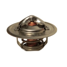 Termostatas Renault Ares 6005022968