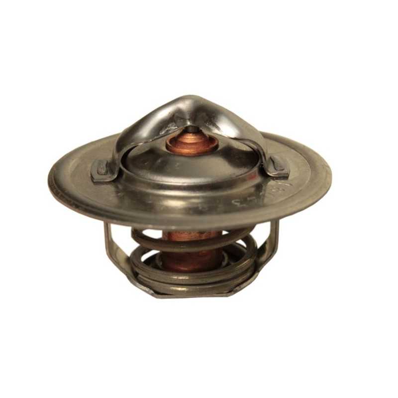 Termostatas Renault Ares 6005022968