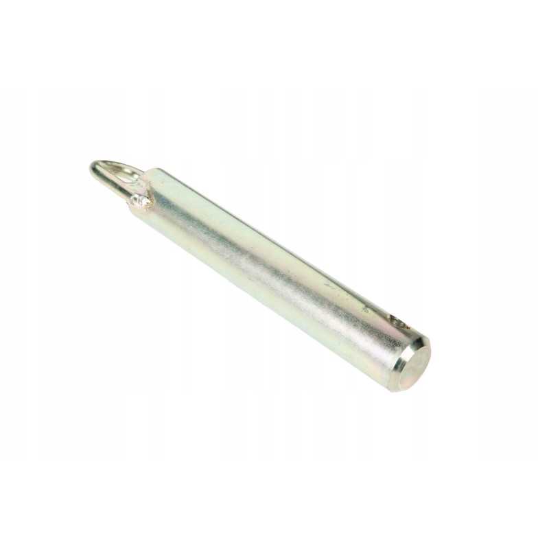 7700050681 priekabos prikabinimo kaištis