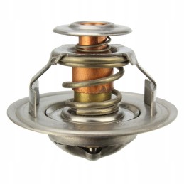 Termostatas Fiat Case Ford New Holland Steyr 4569187