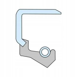 Alyvos sandariklis 35x52x7 tipo bb din3760 1 vnt
