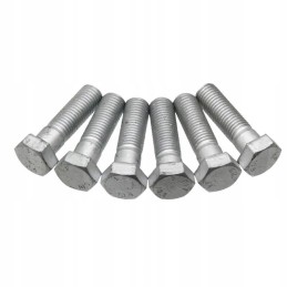 Varžtų rinkinys 6xm16 78770951 rokeris