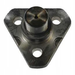 Viršutinis kaištis Zetor Forterra 930815 Carr