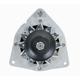 Generatorius Ursus C 330 14v 45a Lenkiškas