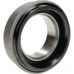 Liuko atraminis guolis 65 x 111 x 46