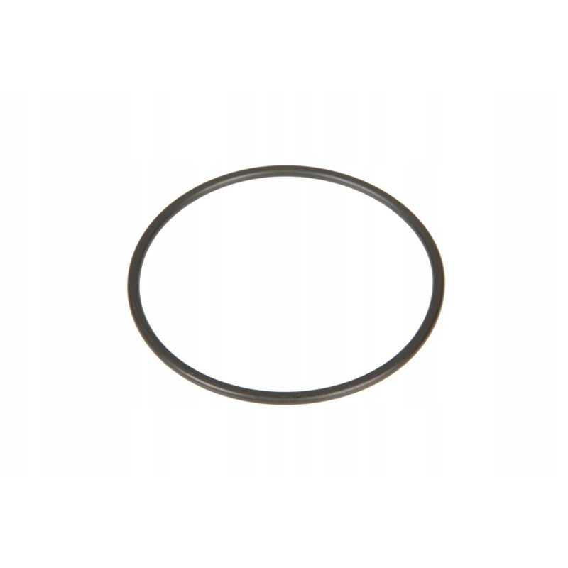 6000103479 diferencialo dangčio sandariklis