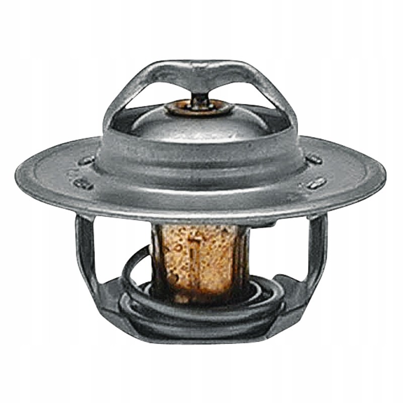 Termostatas 82 c ford 54mm 74717039 granitas