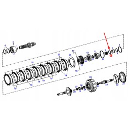 F824100100310 sankabos sandariklio žiedas