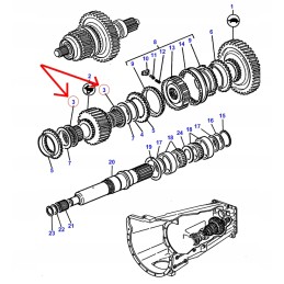 Adatinis rato guolis zajac mf 3382217m2