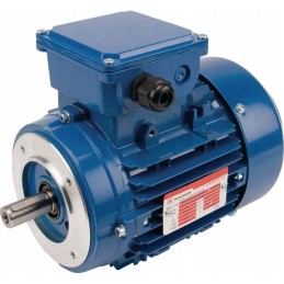 Elektros variklis 0 75 kW