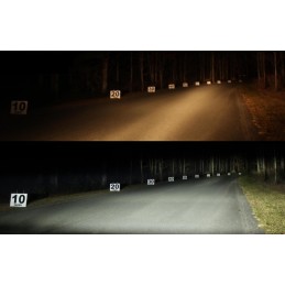 LED lemputės h3 24000lm canbus 9 30v titanium white